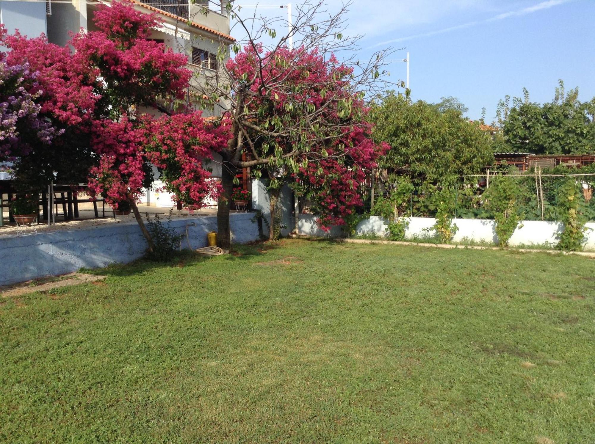 The Blue House Apartment Vinkuran Exterior photo