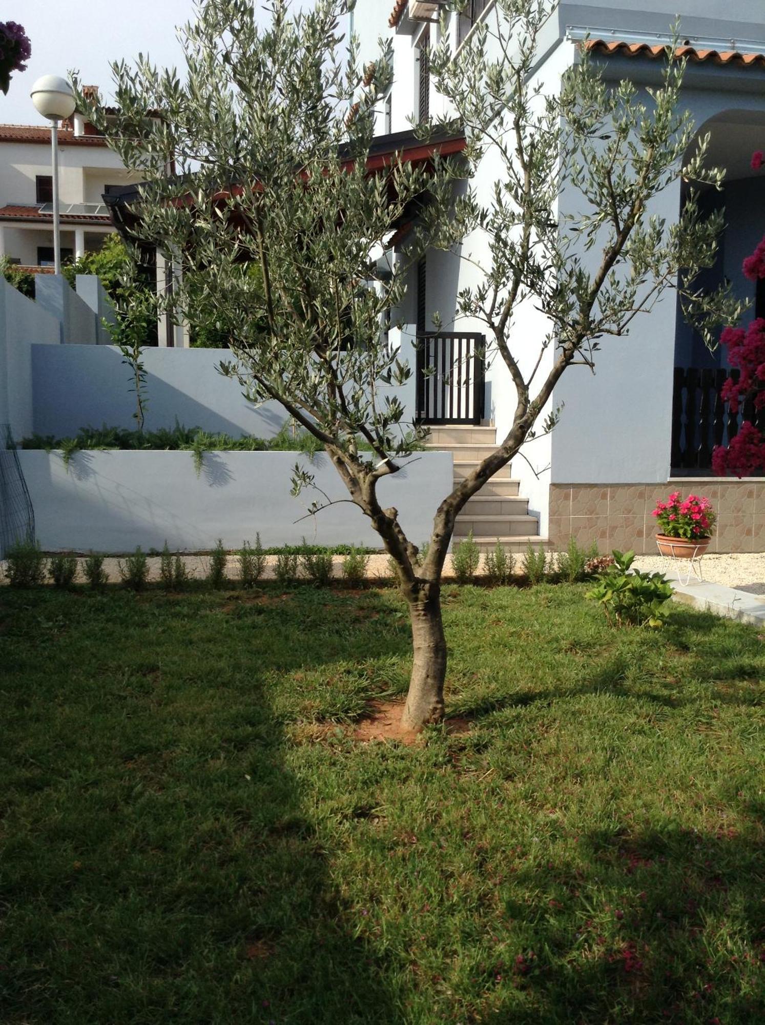 The Blue House Apartment Vinkuran Exterior photo
